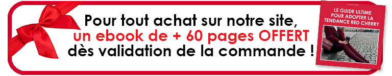 Publicité eBook Offert